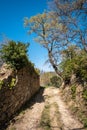 Track besides ancient stone wall in Corsica Royalty Free Stock Photo