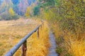 Track in the in the bog in Zittau Mountainsn