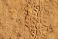 Track of car on the sand on the Dead Sea resort