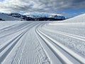 Track of cross-country skiing and a perfect sunny day Royalty Free Stock Photo