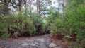 Track Down to the Mount Paris Dam Wall on the Cascade River