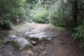 Track Down to the Mount Paris Dam Wall on the Cascade River