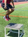 Bos jumps outdoors