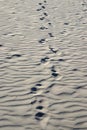 Track of human footprints in the sand, selective focus