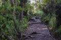 Track on Kilimanjaro on the Machame Route Whiskey