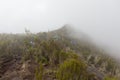 Track on Kilimanjaro on the Machame Route Whiskey