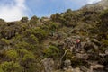 Track on Kilimanjaro on the Machame Route Whiskey