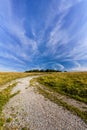 Track leading to Badbury Rings Iron age fort