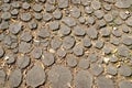 The track is lined with many stumps Royalty Free Stock Photo