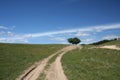 Track in meadow