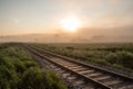 Track in misty landscape at sunrise