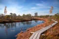 Track in the natural reserve on swamps Royalty Free Stock Photo