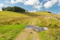 Track near Steel Rigg in Northumberland UK near the Hadrian's Wall trail