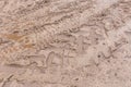 Track pattern trail from vehicle on dirty sandy road soil from wheel texture background Royalty Free Stock Photo