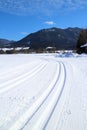 Track in the snow