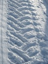 Track in the snow