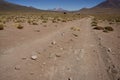 A Track through the Sud Lipez Region of Bolivia, with Pastos Grandes Caldera in the distance.