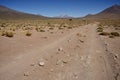 A Track through the Sud Lipez Region of Bolivia, with Pastos Grandes Caldera in the distance.