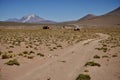 A Track through the Sud Lipez Region of Bolivia, with Pastos Grandes Caldera in the distance.