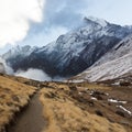 Track to Annapurna Base Camp, Annapurna Conservation Area, Himalaya, Nepal. Royalty Free Stock Photo