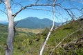 Track to the Ijen Volcano Crater Royalty Free Stock Photo