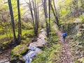 Track to Seimeira de Murias waterfall, Santa Eulalia de Oscos, Asturias, Spain