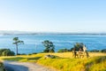 Track up Mount Maunganui