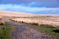 The Yelverton to Princetown railway track, Dartmoor Devon England