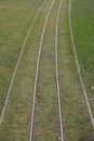 Trackage in grass Royalty Free Stock Photo