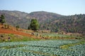 Tracking among fields and hills