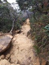 Mount Kinabalu Hiking Trail