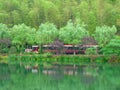 Trackless tourist train traveling through the forest