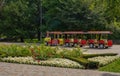 Trackless train, children\'s steam locomotive with wagons - a modern attraction in the city park