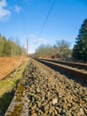 Tracks of Abandonment: A Journey Through the Woods