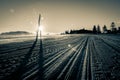 Tracks from beach grooming leading away towards sunrise Royalty Free Stock Photo