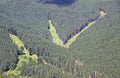 Tracks of Bukovel ski resort in summer, Carpathian mountains