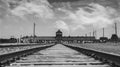 The tracks in the concentration camp at auschwitz Royalty Free Stock Photo