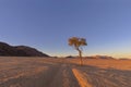 Tracks on dry sand in the desert Royalty Free Stock Photo