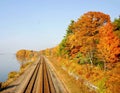 Tracks in the fall Royalty Free Stock Photo