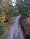 Tracks into the fall leaves