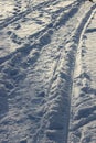 Tracks in fresh snow