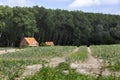 Tracks and houses near a forest edge