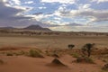 Tracks on the plain between the dune and the kopjes Royalty Free Stock Photo