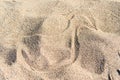 Tracks and Prints in dry sand by animals and humans