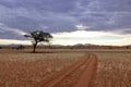 Tracks in the red sand of the desert Royalty Free Stock Photo