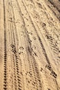 Tracks In The Sand