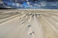 Tracks on sand beach on windy day Royalty Free Stock Photo