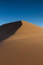 Tracks on a sand dune Royalty Free Stock Photo