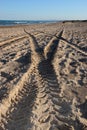 Tracks on the sand