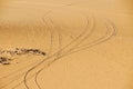 Tracks on the sand, Sahara desert, Libya